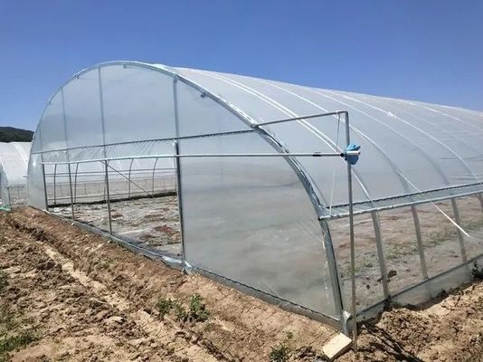 H-Abschnitt Individualisierte Stahlkonstruktion Gewächshausgestaltung auf Multi Span US-Markt Bedürfnisse