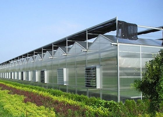 H-Abschnitt Individualisierte Stahlkonstruktion Gewächshausgestaltung auf Multi Span US-Markt Bedürfnisse
