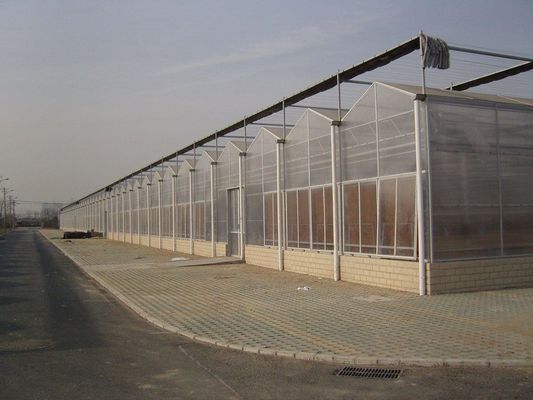 Gewächshaus Tomaten Gurke Erdbeeren Anbausystem mit Film und US-Währung