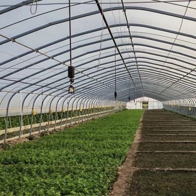 Bequeme Rückerstattungen für unser innovatives Treibhausgerät für Tropfbewässerungstunnel