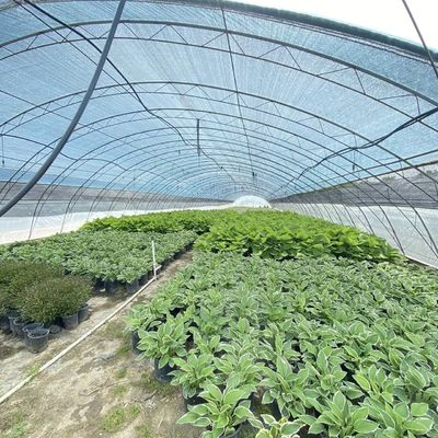 Großes innovatives Landwirtschaftliches Gewächshaus mit Bögen und Tunneln, perfekt für das ganze Jahr über