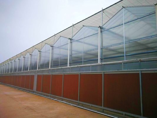 Gewerbliche Gewächshäuser aus PE-Folien aus Kunststoff Landwirtschaft Gewächshäuser für die USA/Kanada/Australien