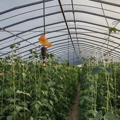 Die Landwirtschaft in allen Jahreszeiten wird mit einem großen Tunnel-Treibhausgerät und einem Filmdeckel erleichtert