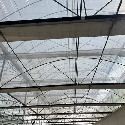 Quadratmeter-Hydroponisches System für die groß angelegte Gemüse- und Blumenproduktion