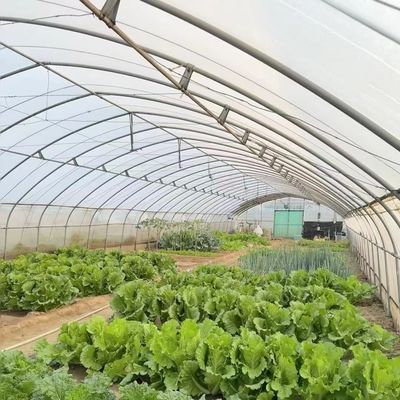 Große Gewächshäuser mit chinesischem Ursprung für den optimalen Anbau von Pflanzen