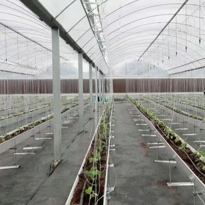Mehrspannendes Gewächshaus mit Hydroponik und Kunststofffilmproben US 20/Quadratmeter