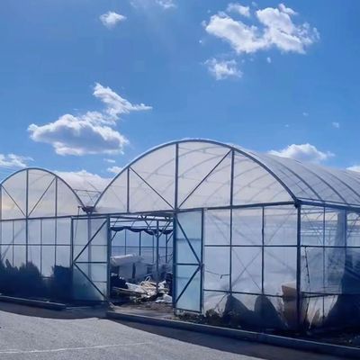 Multi Span Gewächshaus Hydroponisches Gemüseanbausystem für Stahlkonstruktion 20.000kg