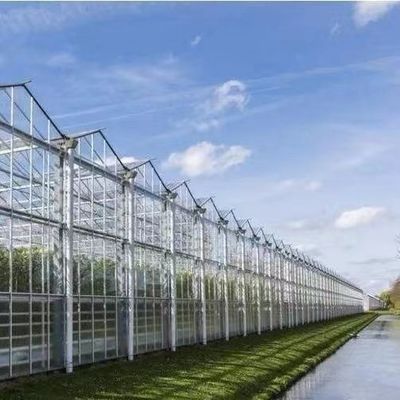 Sonnenlicht Gewächshaus für den Anbau von Capsicum