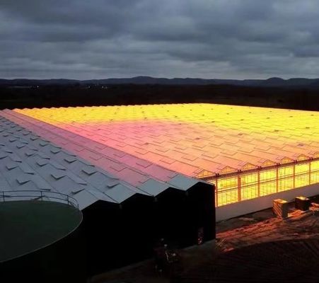 Anforderung nach Maßgabe der Herkunft Gewächshaus mit Doppelbogenstrahl für Gemüse 20GP/40GP/40HC