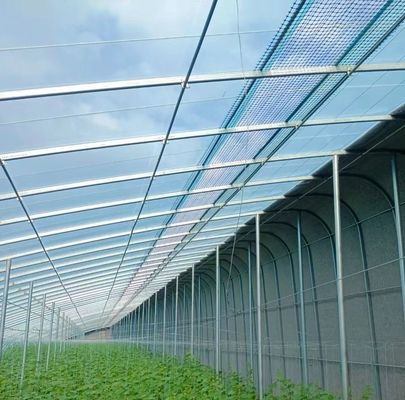 Anforderung nach Maßgabe der Herkunft Gewächshaus mit Doppelbogenstrahl für Gemüse 20GP/40GP/40HC