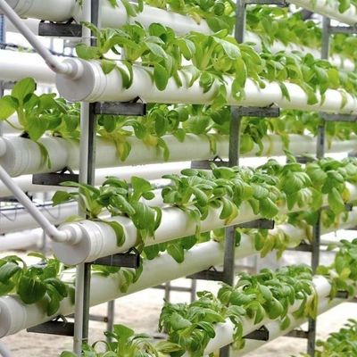 Versandkosten und Lieferzeiten für hydroponische Mehrfachgewächshäuser