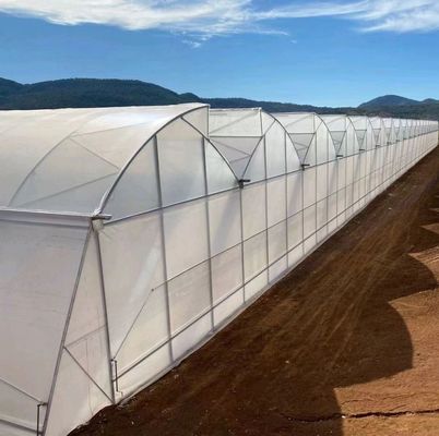 Custom Double Arch Beam Gewächshaus für Gemüse nach Ihren Anforderungen personalisiert