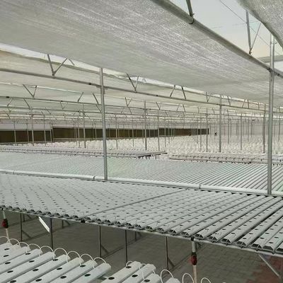 Anforderung für das Mehrfach-Span-Gewächshaus Venlo 1 Quadratmeter Min.Bestellung