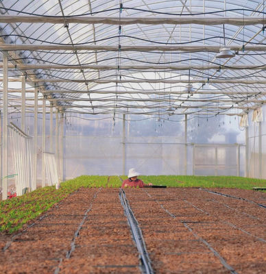 Mehrspann-Film-Treibhaus für die Landwirtschaft Paket Bruttogewicht 20.000kg und erschwinglich
