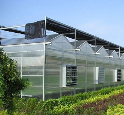 Erste Zahlung Schneevibrator Gewächshaus für die Landwirtschaft