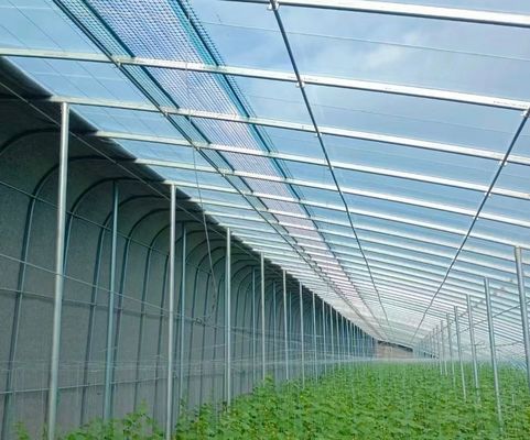 Erste Zahlung Schneevibrator Gewächshaus für die Landwirtschaft