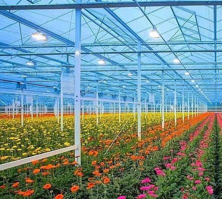Erste Zahlung Schneevibrator Gewächshaus für die Landwirtschaft