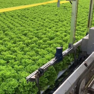 Landwirtschaftliche Mehrspannung Gewächshaus Kunststofffolie Hydroponik vertikaler Anbausystem