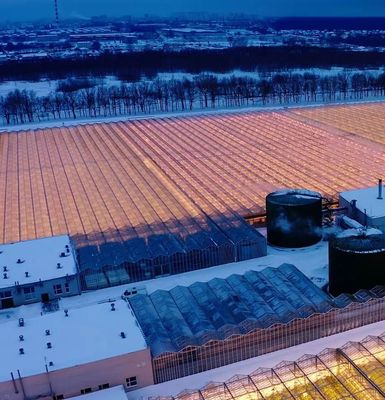 Gewächshaus mit Doppelbogenbalken für Pilzzucht
