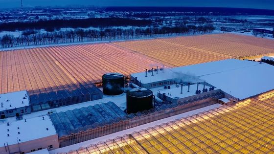 Gewölbedeckung Pilzkultur Sonnenlicht Gewächshaus Paket Bruttogewicht 1000.000kg