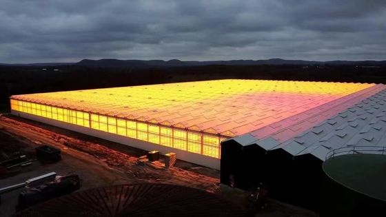 Gewölbedeckung Pilzkultur Sonnenlicht Gewächshaus Paket Bruttogewicht 1000.000kg