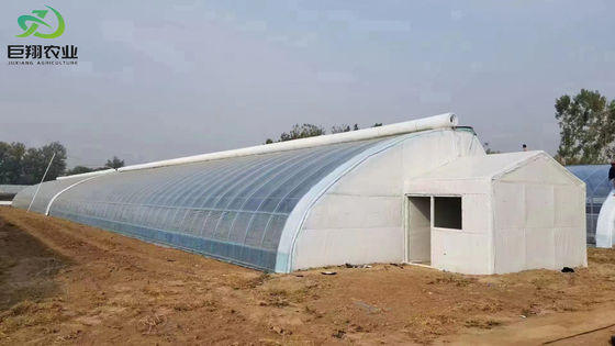 Individuelle Anforderung Doppelbogengitter Gewächshaus für Tomatenanbau in US-Währung