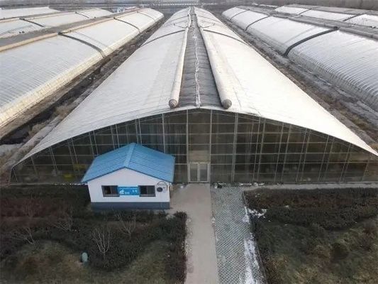 Sonnenlicht Gewächshaus JX-h0051 Ganzjähriges Gemüse Wachstum im Gewächshaus Schneevibrator