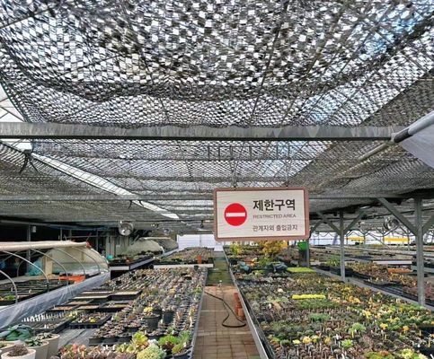 Anpassung Bogen Tunnel Gewächshaus Sonnenlicht Gewächshaus für den Capsicum Anbau