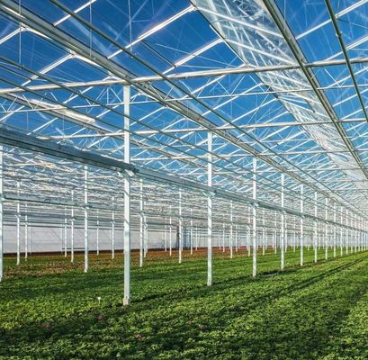 Anpassung Bogen Tunnel Gewächshaus Sonnenlicht Gewächshaus für den Capsicum Anbau