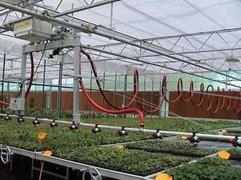 Herkunft Doppelbogenglas Gewächshaus für Capsicum Versandkosten und Produktionsgewächshaus
