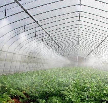 Anpassung Schneevibrator Gewächshaus für Tomatenpflanzen Anfrage Ihre Anpassung