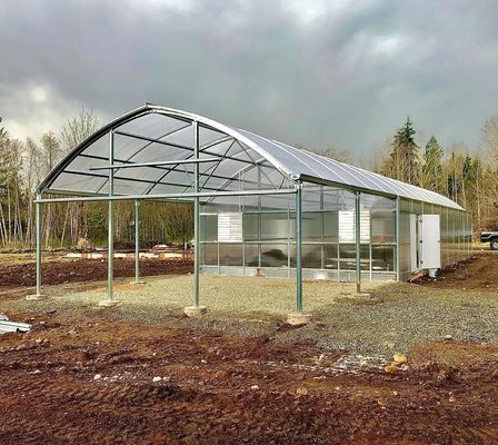 Anpassung Schneevibrator Gewächshaus für Tomatenpflanzen Anfrage Ihre Anpassung