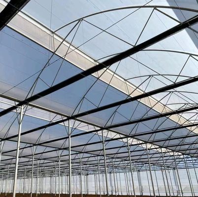 Anpassung Schneevibrator Gewächshaus für Tomatenpflanzen Anfrage Ihre Anpassung