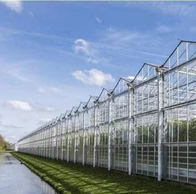 20GP 40GP 40HC Moderne Landwirtschaft Sonnenlicht Gewächshaus für Gemüseanbau
