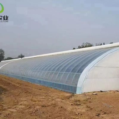20GP 40GP 40HC Moderne Landwirtschaft Sonnenlicht Gewächshaus für Gemüseanbau