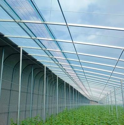 Gewächshäuser für Tomaten/Gurken mit großem Anbau