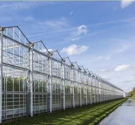 Gewächshäuser für Tomaten/Gurken mit großem Anbau