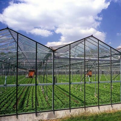 Custom-Moderne Sonnenlicht Gewächshaus Doppelschicht für Pilzpflanzung Anforderungen