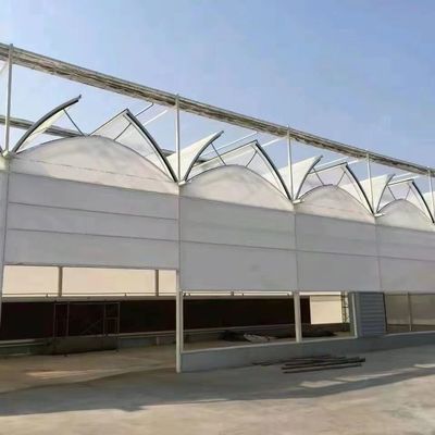 Modernes Sonnenglas-Gewächshaus mit automatischem Bewässerungssystem