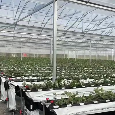 Dauerhafte Baustoffe Mehrspann-Foliengewächshaus mit Stahlkonstruktion