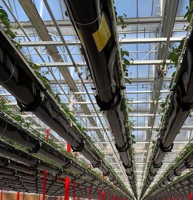 Doppelschicht landwirtschaftliches intelligentes Sonnenlicht Gewächshaus mit Insektenschutznetz