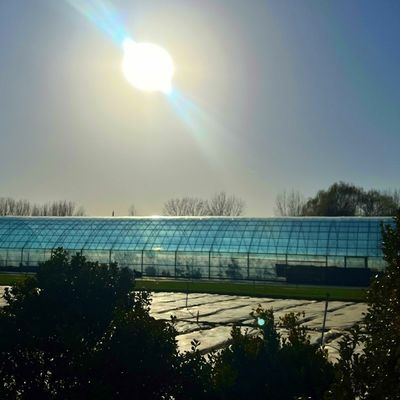 Doppelschicht landwirtschaftliches intelligentes Sonnenlicht Gewächshaus mit Insektenschutznetz
