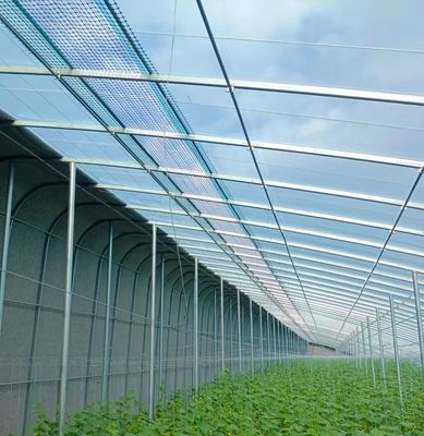 Doppelschicht landwirtschaftliches intelligentes Sonnenlicht Gewächshaus mit Insektenschutznetz