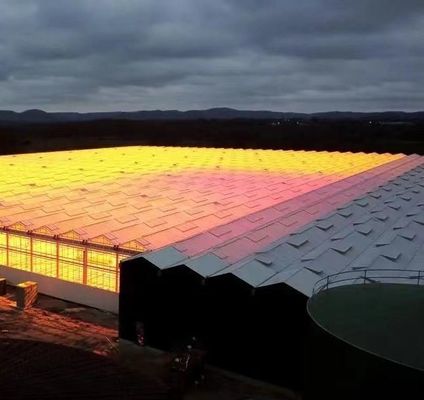 Doppelschicht landwirtschaftliches intelligentes Sonnenlicht Gewächshaus mit Insektenschutznetz