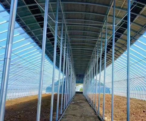 Doppelschicht landwirtschaftliches intelligentes Sonnenlicht Gewächshaus mit Insektenschutznetz
