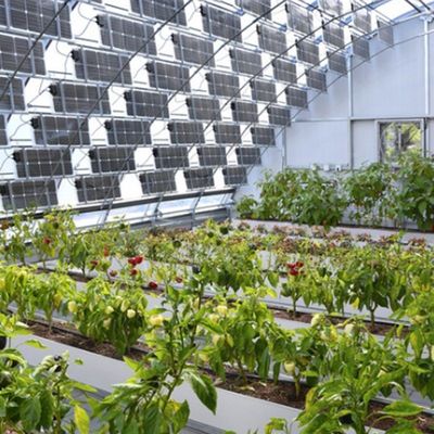 Mehrspann-Bogentyp PE/Po Kunststofffolie Photovoltaik-Solargewächshaus für Leistung