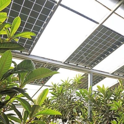 Mehrspann-Bogentyp PE/Po Kunststofffolie Photovoltaik-Solargewächshaus für Leistung
