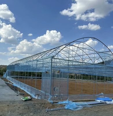 Anfängliche Zahlung JX-A0050 Wasserleitung Landwirtschaftliches Gewächshaus für die Gemüseproduktion
