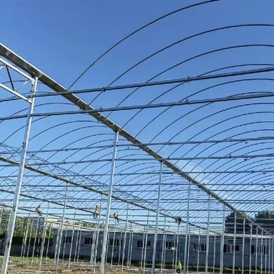 Customized Multi-Span Film Gewächshaus für das Pflanzen von Blumen 30 Tage Geld-zurück-Garantie