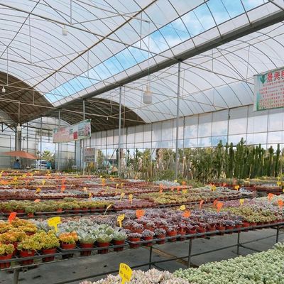 Multi Span Gewächshaus mit Schatten 30 Tage Rückkehr Rückerstattungen Jetzt in begrenzter Zeit Angebot